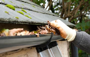 gutter cleaning Hapton