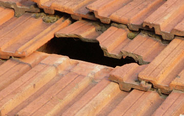 roof repair Hapton